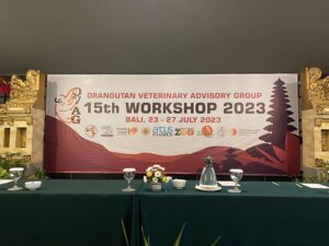 Ovag 2023 - Harga Sewa Sound System 5000 Watt - Harga Sewa Sound System Murah